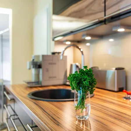 Refugium Nest זיגמרינגן